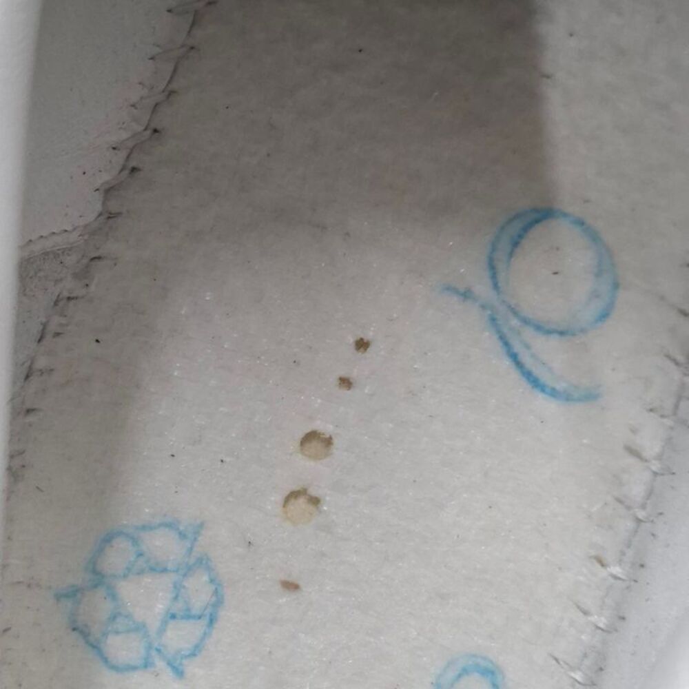 Saint Laurent Printed Low Top Snekaers in Black Leather - Picture 7 of 10